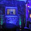Stone Wall Color Highlights